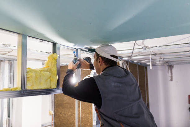 Types of Insulation We Offer in Clarkesville, GA