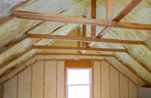 Best DIY Insulation Kits and Guidance in Clarkesville, GA