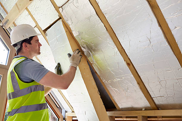 Best Eco-Friendly Insulation in Clarkesville, GA